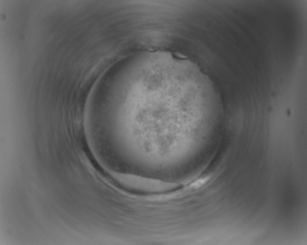 X0000052570040200507011232