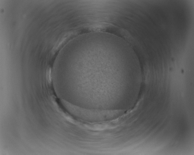 X0000052570041200507011232