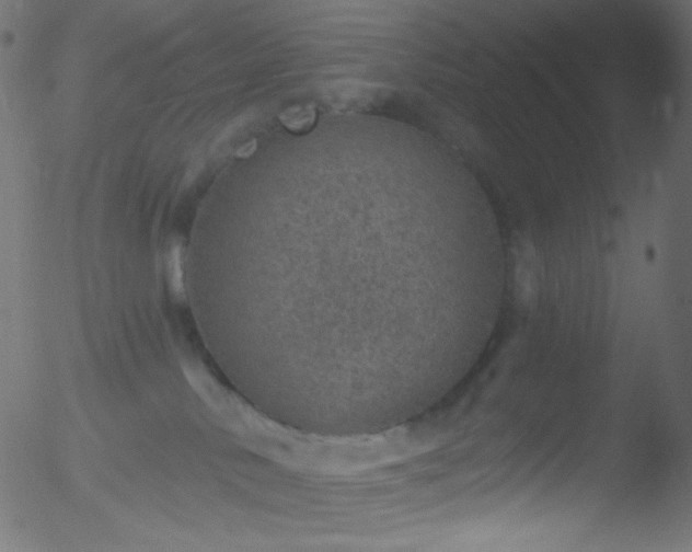 X0000052570042200507011232