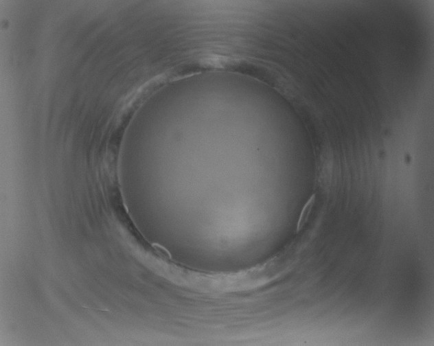 X0000052570043200507011232