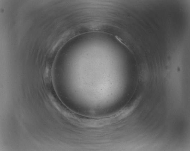 X0000052570044200507011232