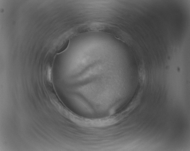 X0000052570046200507011232