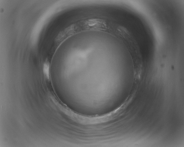 X0000052570047200507011232