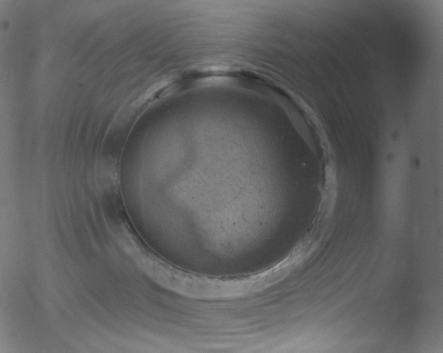 X0000052570048200507011232