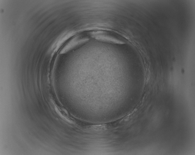 X0000052570050200507011231