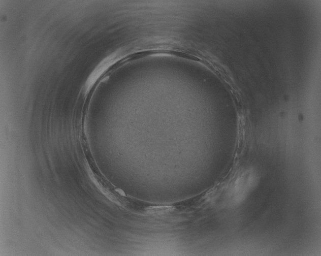 X0000052570051200507011231