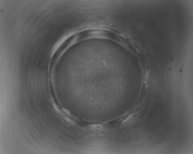 X0000052570052200507011231