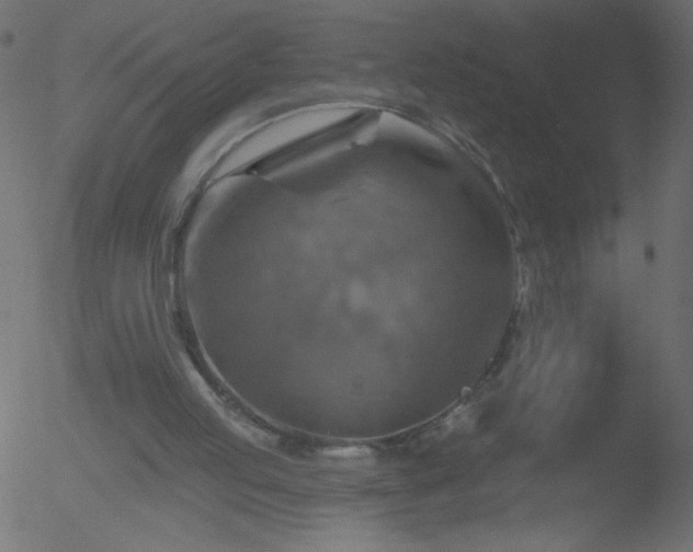 X0000052570053200507011231