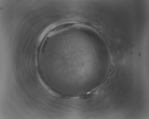 X0000052570054200507011231