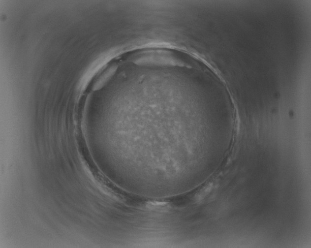 X0000052570055200507011231