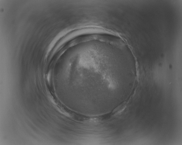 X0000052570056200507011231