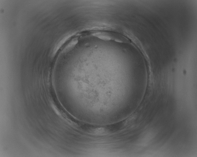 X0000052570058200507011231