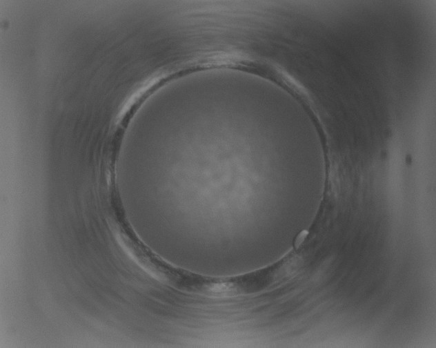 X0000052570059200507011231