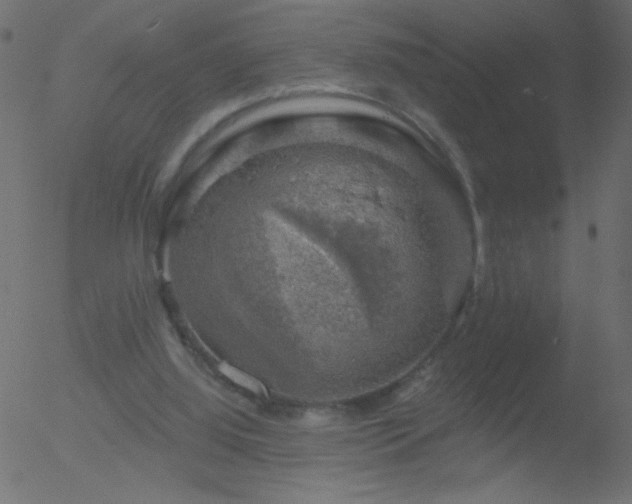 X0000052570060200507011231