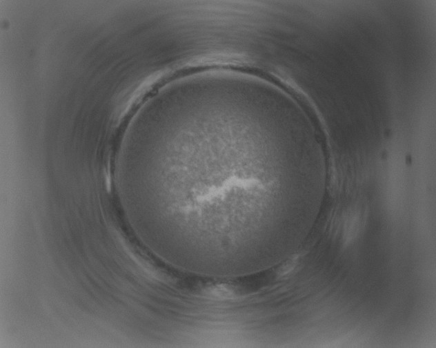 X0000052570062200507011231