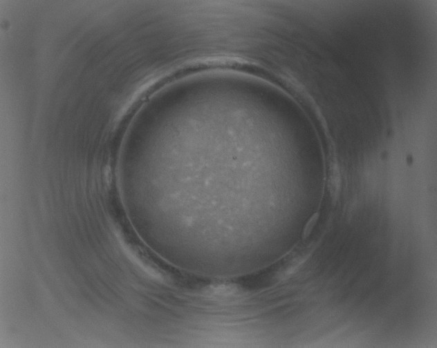 X0000052570063200507011231