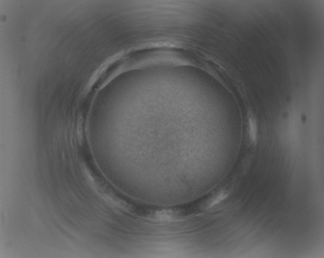 X0000052570064200507011231