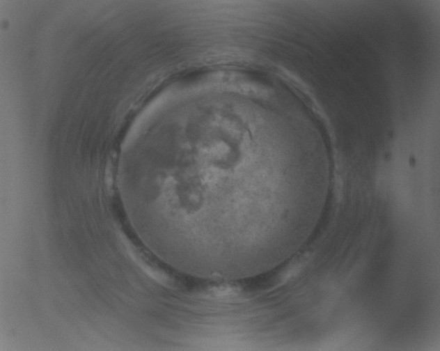 X0000052570065200507011231