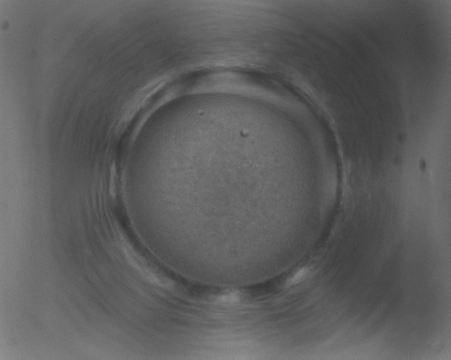 X0000052570068200507011231