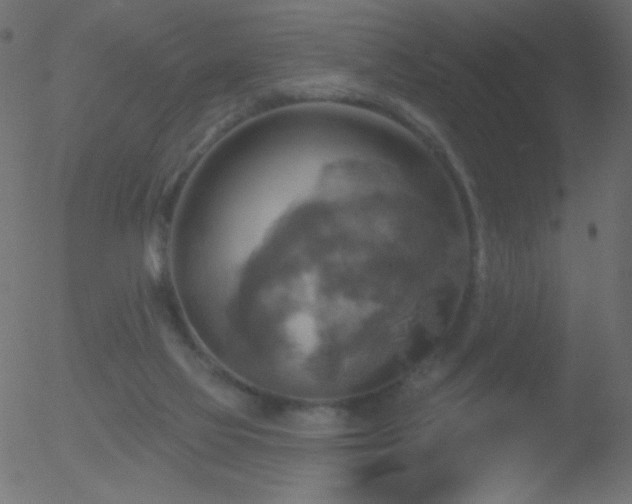 X0000052570069200507011231