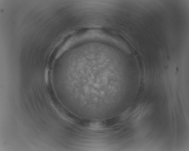 X0000052570070200507011231