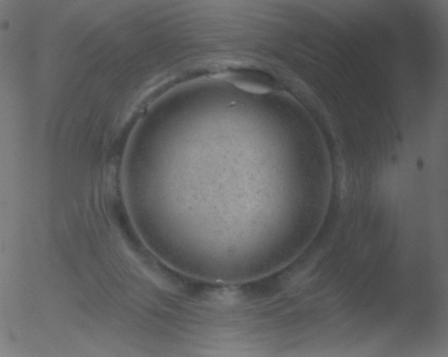 X0000052570071200507011231