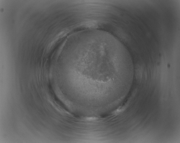 X0000052570072200507011231