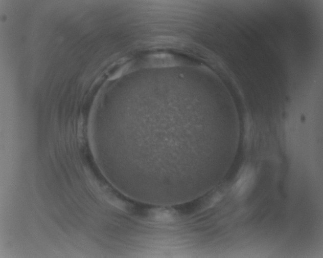 X0000052570073200507011231