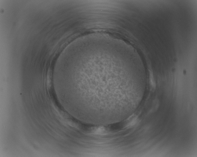 X0000052570074200507011231