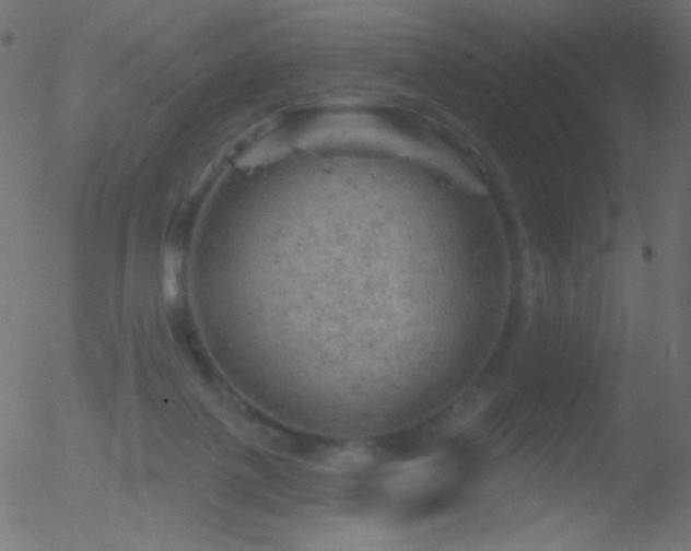 X0000052570075200507011231