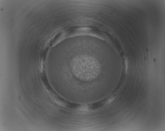 X0000052570076200507011231