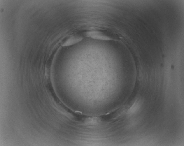 X0000052570077200507011231