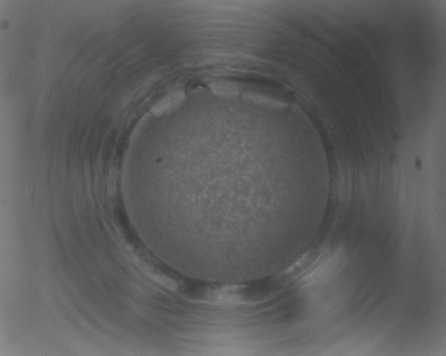 X0000052570078200507011231