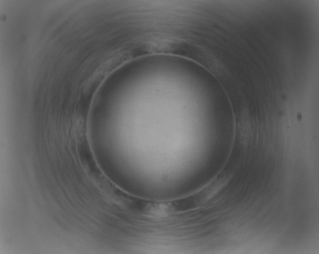 X0000052570079200507011231