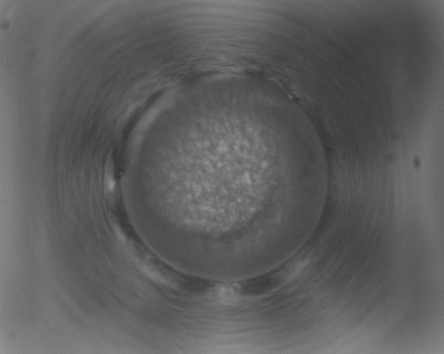 X0000052570080200507011231