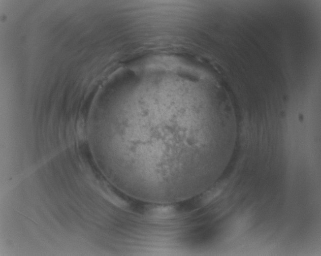 X0000052570081200507011231