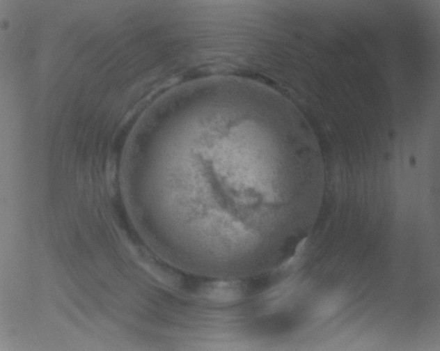 X0000052570082200507011231