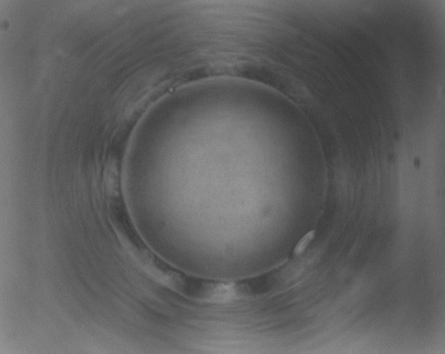 X0000052570083200507011231