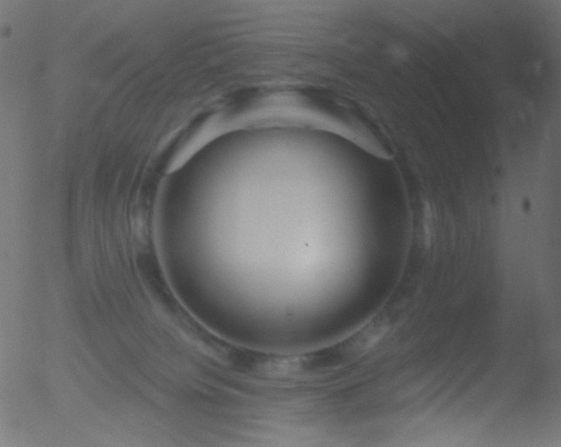 X0000052570084200507011231