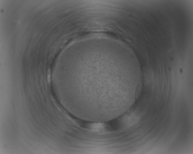 X0000052570085200507011231