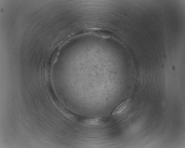 X0000052570086200507011231