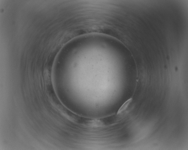 X0000052570087200507011231