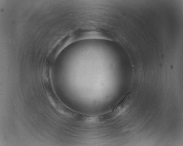 X0000052570088200507011231