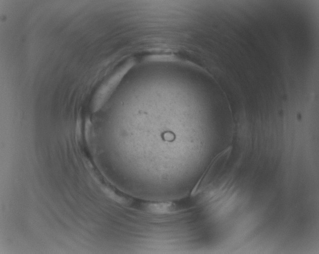 X0000052570089200507011231