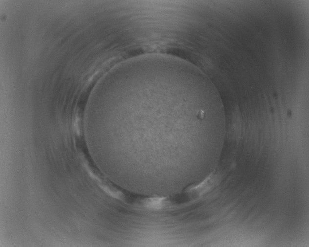 X0000052570090200507011232