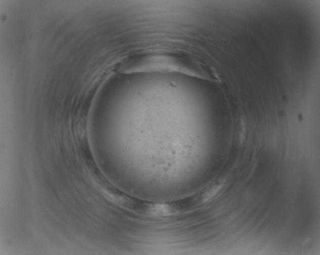 X0000052570091200507011232