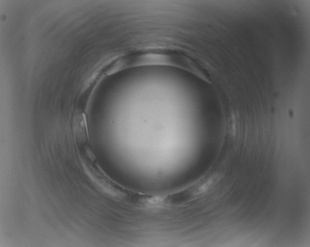 X0000052570092200507011232