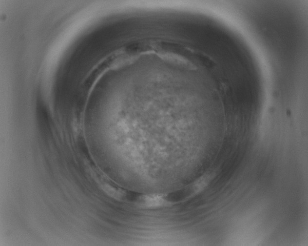 X0000052570093200507011232