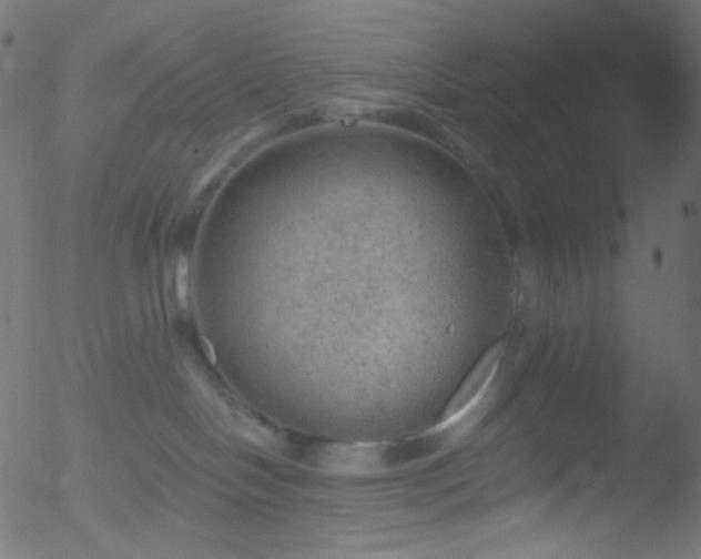 X0000052570094200507011232