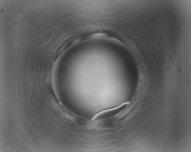 X0000052570096200507011232